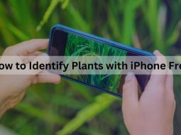 How to Identify Plants with iPhone Free