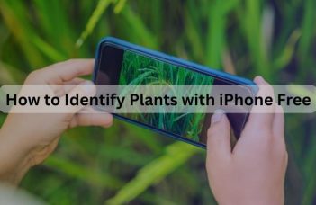 How to Identify Plants with iPhone Free