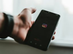 How To Privately View Instagram Accounts In 2024 Easily