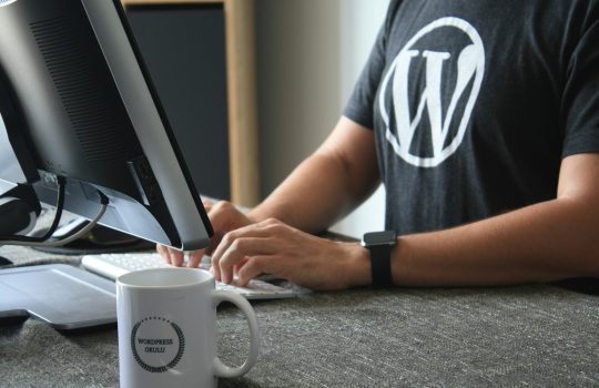 How To Troubleshoot Your WordPress Media Library
