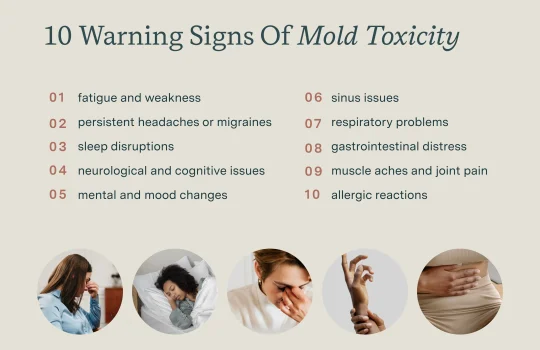 10 Warning Signs of Mold Toxicity