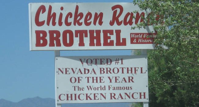 Chicken Ranch Nevada: An Oasis of Rural Charm