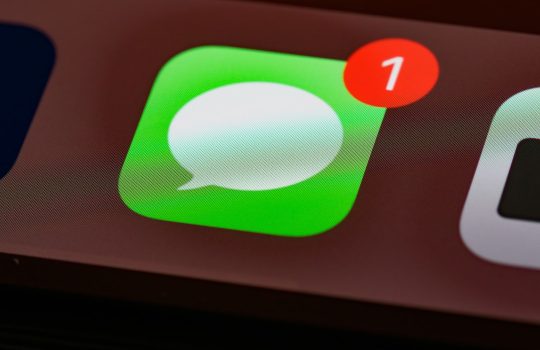 Treat puzzle boxes for cats: picks