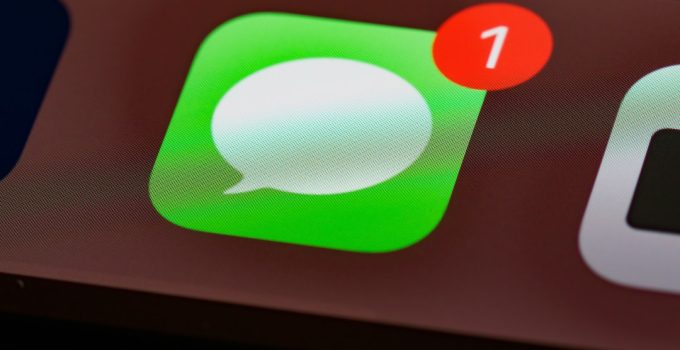 Treat puzzle boxes for cats: picks