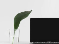What is the best performing browser for Mac?