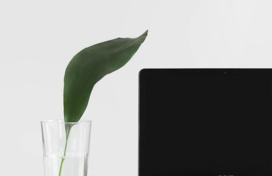 What is the best performing browser for Mac?