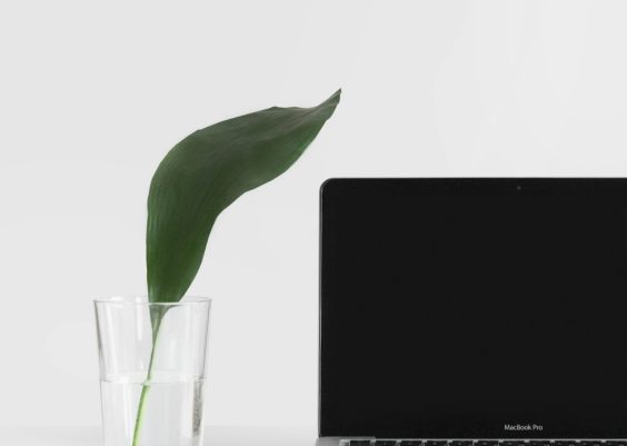 What is the best performing browser for Mac?