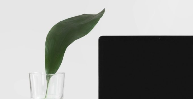 What is the best performing browser for Mac?