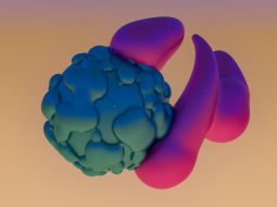 The Trick Sellers Used to Restore Suppressed Images That Kept Getting Rejected by Amazon’s Algorithm