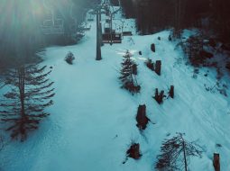 Editor’s Choice Logo Creating Apps for DTC Brands Focused on Memorability and Retention