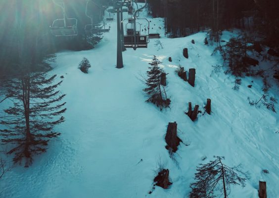 Editor’s Choice Logo Creating Apps for DTC Brands Focused on Memorability and Retention