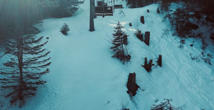 Editor’s Choice Logo Creating Apps for DTC Brands Focused on Memorability and Retention