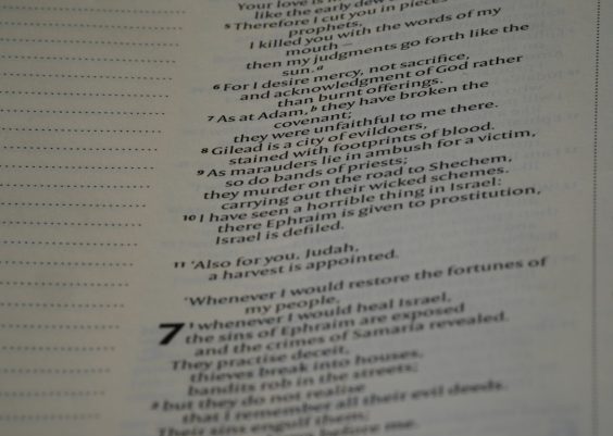 AI-Assisted Documentation: From Tickets to Tutorials