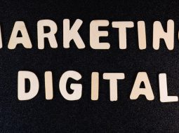 Content Refresh Sprints: Picking Winners With Data