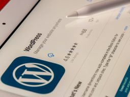Insightful Platform and WordPress Hosting: Compatibility and Performance Review