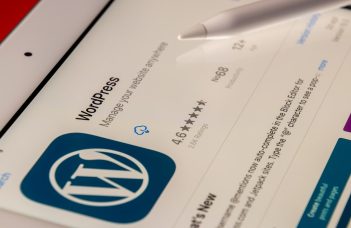 Insightful Platform and WordPress Hosting: Compatibility and Performance Review