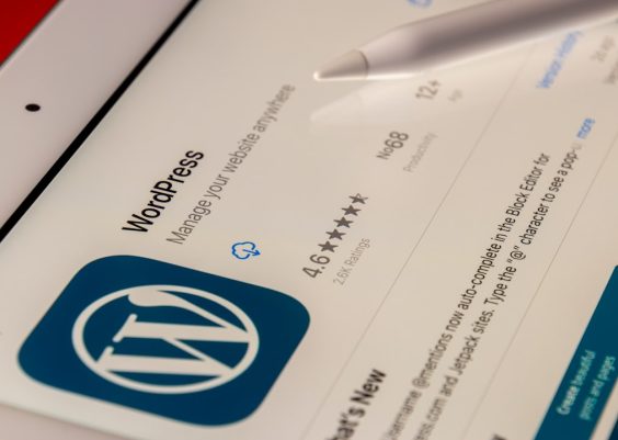 Insightful Platform and WordPress Hosting: Compatibility and Performance Review