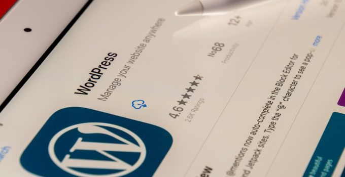 Insightful Platform and WordPress Hosting: Compatibility and Performance Review