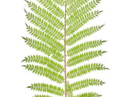 The Real Benefits of Smart Home Devices — From Comfort to Savings