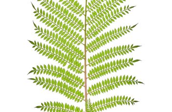 The Real Benefits of Smart Home Devices — From Comfort to Savings