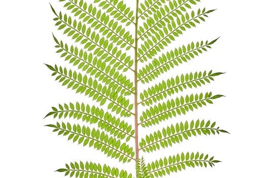 The Real Benefits of Smart Home Devices — From Comfort to Savings