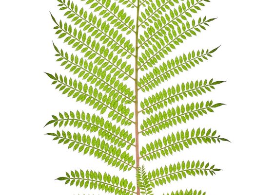 The Real Benefits of Smart Home Devices — From Comfort to Savings