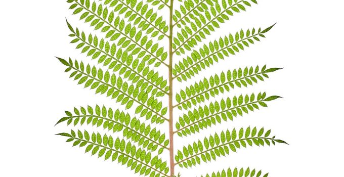 The Real Benefits of Smart Home Devices — From Comfort to Savings