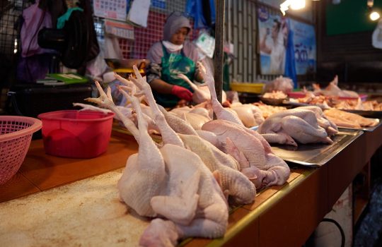 Ground chicken bone: food safety talk