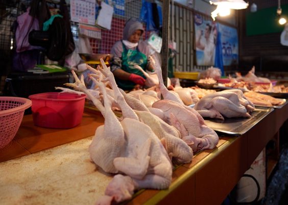 Ground chicken bone: food safety talk Ground chicken bone: food safety talk