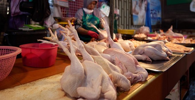 Ground chicken bone: food safety talk