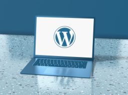 WordPress SMTP vs ESPs: When to Keep Email In-House
