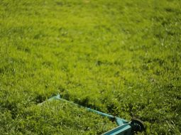 Designing a Croquet Logo: Mallets, Hoops, and Heritage Aesthetics