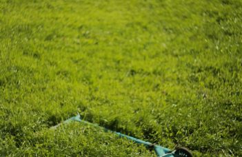 Designing a Croquet Logo: Mallets, Hoops, and Heritage Aesthetics