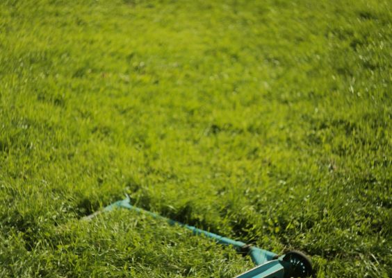 Designing a Croquet Logo: Mallets, Hoops, and Heritage Aesthetics