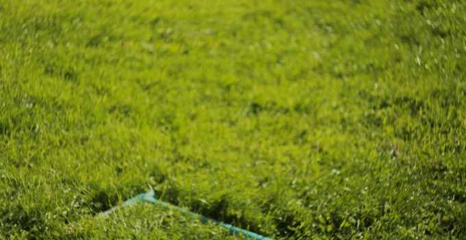 Designing a Croquet Logo: Mallets, Hoops, and Heritage Aesthetics