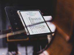 Top 5 Personal Knowledge Managers For Lifelong Learners With Spaced Repetition Workflows