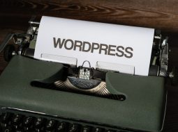 The Universal Database: Why WP Email Log Is the Best Add-on for Contact Forms