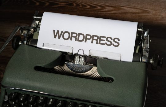 The Universal Database: Why WP Email Log Is the Best Add-on for Contact Forms