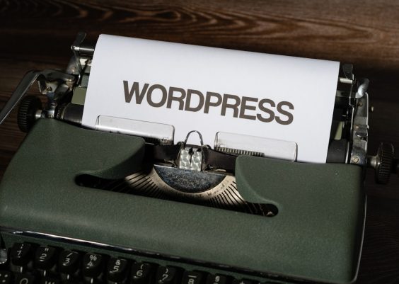 The Universal Database: Why WP Email Log Is the Best Add-on for Contact Forms