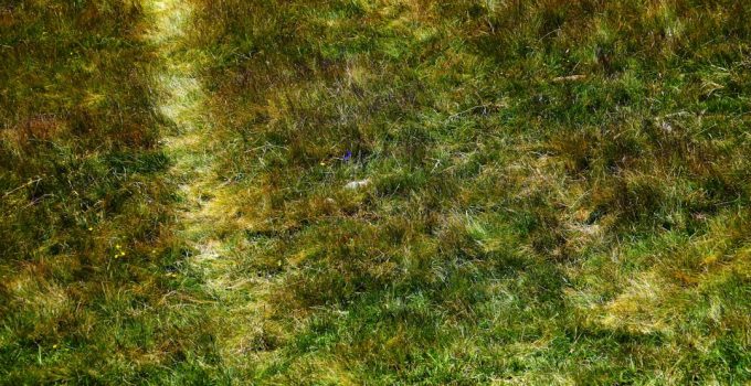 Designing a Croquet Logo: Mallets, Hoops, and Heritage Aesthetics