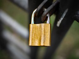 SASE for MSPs: SASE Platforms for MSPs vs SD-WAN and Managed Security Alternatives