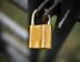 SASE for MSPs: SASE Platforms for MSPs vs SD-WAN and Managed Security Alternatives