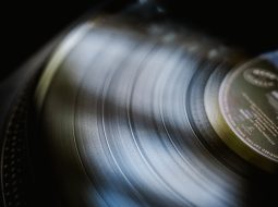 What Does “Pookie” Mean on TikTok?