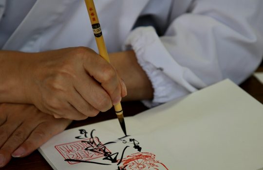 How a caching plugin served old logo files after an update and the cache-key invalidation steps that pushed fresh brand assets