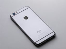 iPhone accessories: 13 mini case fits