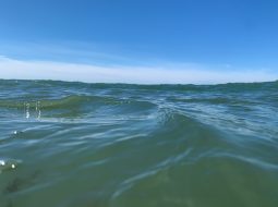 Wuthering Waves Game Stuck in Middle of Screen: Fix Guide