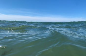 Wuthering Waves Game Stuck in Middle of Screen: Fix Guide