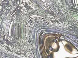 What Do Software Engineers Do Daily?