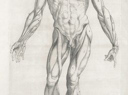 Top 7 Underrated Flashcard & SRS Tools (Anki Add-Ons, RemNote, Mnemosyne) That Grad Students Use to Memorize Terminology Efficiently