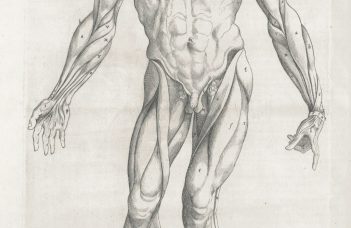 Top 7 Underrated Flashcard & SRS Tools (Anki Add-Ons, RemNote, Mnemosyne) That Grad Students Use to Memorize Terminology Efficiently